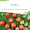 Cherrytomate Primabella | BIO Kirschtomatensamen Von Sativa Rheinau 1 Cherrytomate Primabella | BIO Kirschtomatensamen Von Sativa Rheinau -Pegasus Verkaufsgeschäft 537129 BIO Cherrytomate Primabella to30 sr 0