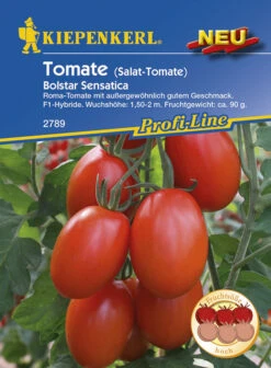 Titelseite 13 Salat - Tomate Bolstar Sensatica | Snacktomatensamen Von Kiepenkerl