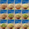 BIO Keimsprossen Sortiment Mit 12 Sorten | Keimsprossen Von Kiepenkerl -Pegasus Verkaufsgeschäft 539847 BIO Keimsprossen Sortiment mit 12 Sorten 5324 0