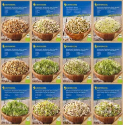 BIO Keimsprossen Sortiment Mit 12 Sorten | Keimsprossen Von Kiepenkerl