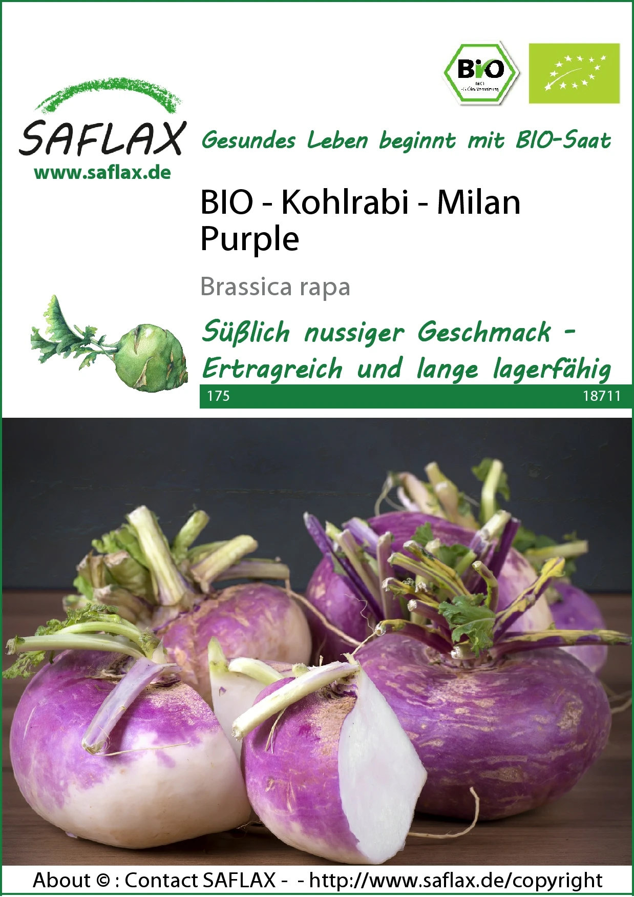 Kohlrabi Milan Purple | BIO Kohlrabisamen Von Saflax 3 Kohlrabi Milan Purple | BIO Kohlrabisamen Von Saflax