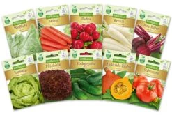 Gesunder Gemüsegarten Gemüsesaatgut - Set (10 Stück) | Gemüsesamen-Sets Von N.L. Chrestensen