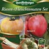 Riesen-/ Fleischtomaten Set (Saatplatte) | Tomatensamen Von Quedlinburger -Pegasus Verkaufsgeschäft 542617 Riesen Fleischtomaten Set Saatplatte
