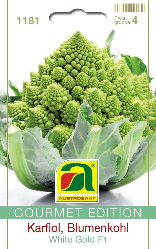 Karfiol White Gold F1 (Romanesco) | Romanescosamen Von Austrosaat 3 Karfiol White Gold F1 (Romanesco) | Romanescosamen Von Austrosaat