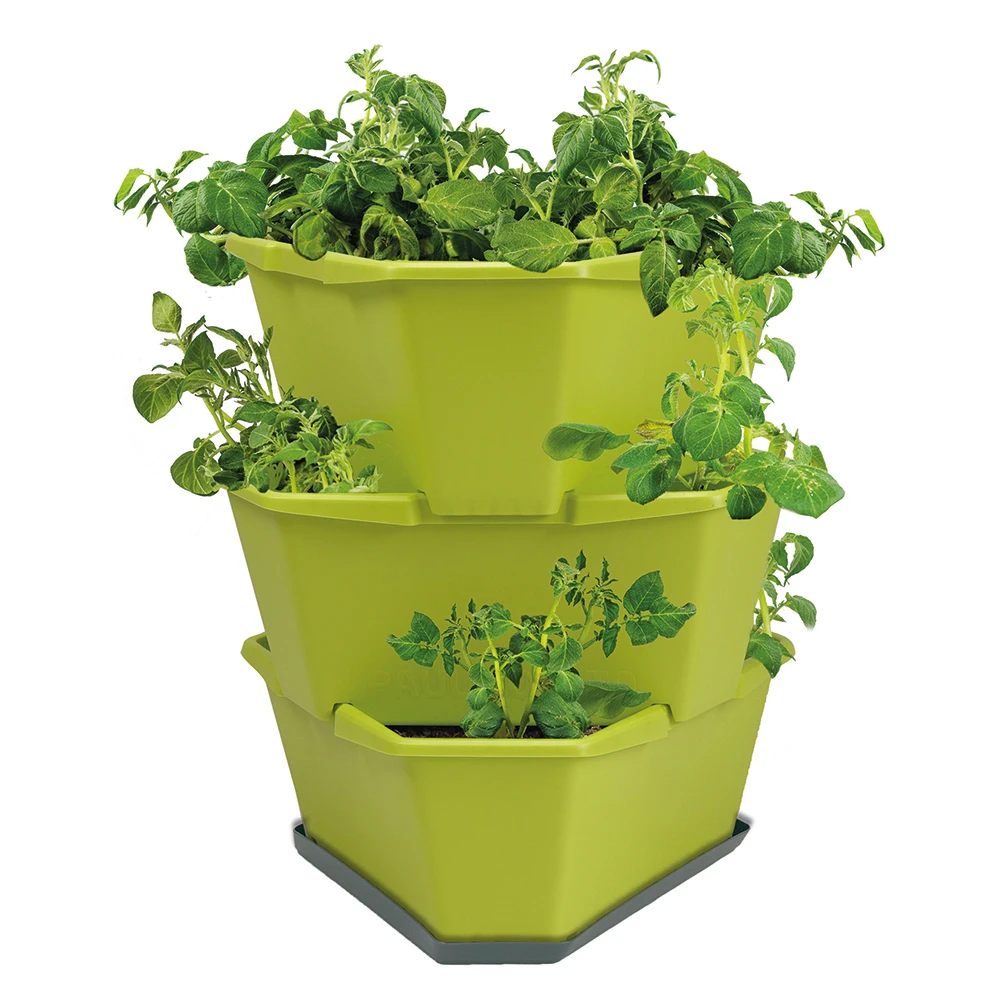 Paul Potato Kartoffelturm Starter Set Grün (3 Etagen) | Kartoffeltürme Von Gusta Garden 3 Paul Potato Kartoffelturm Starter Set Grün (3 Etagen) | Kartoffeltürme Von Gusta Garden – Bild 2