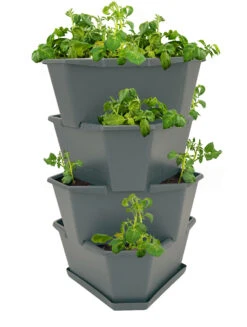 Paul Potato Kartoffelturm Starter Set Anthrazit (4 Etagen) | Kartoffeltürme Von Gusta Garden -Pegasus Verkaufsgeschäft 543332 Paul Potato Starter Set anthrazit 4 Etagen