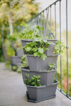 Paul Potato Kartoffelturm Starter Set Anthrazit (4 Etagen) | Kartoffeltürme Von Gusta Garden