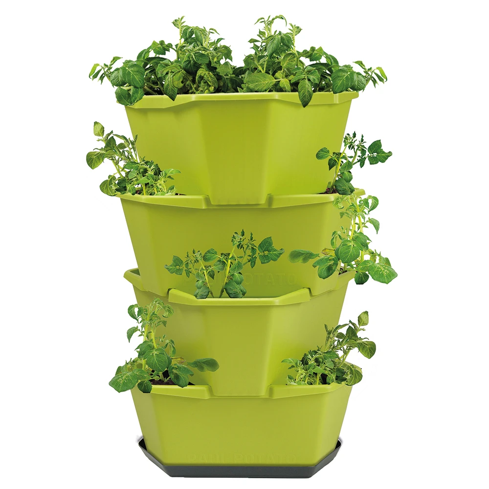 Paul Potato Kartoffelturm Starter Set Grün (4 Etagen) | Kartoffeltürme Von Gusta Garden 3 Paul Potato Kartoffelturm Starter Set Grün (4 Etagen) | Kartoffeltürme Von Gusta Garden