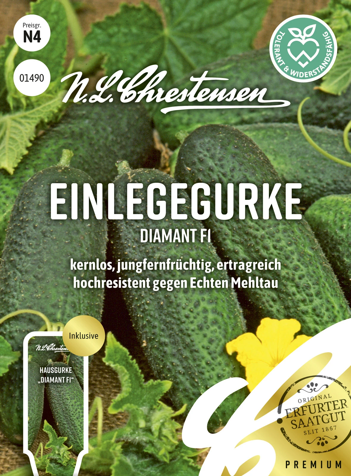 Einlegegurke Diamant F1 | Einlegegurkensamen Von N.L. Chrestensen 4 Einlegegurke Diamant F1 | Einlegegurkensamen Von N.L. Chrestensen – Bild 2