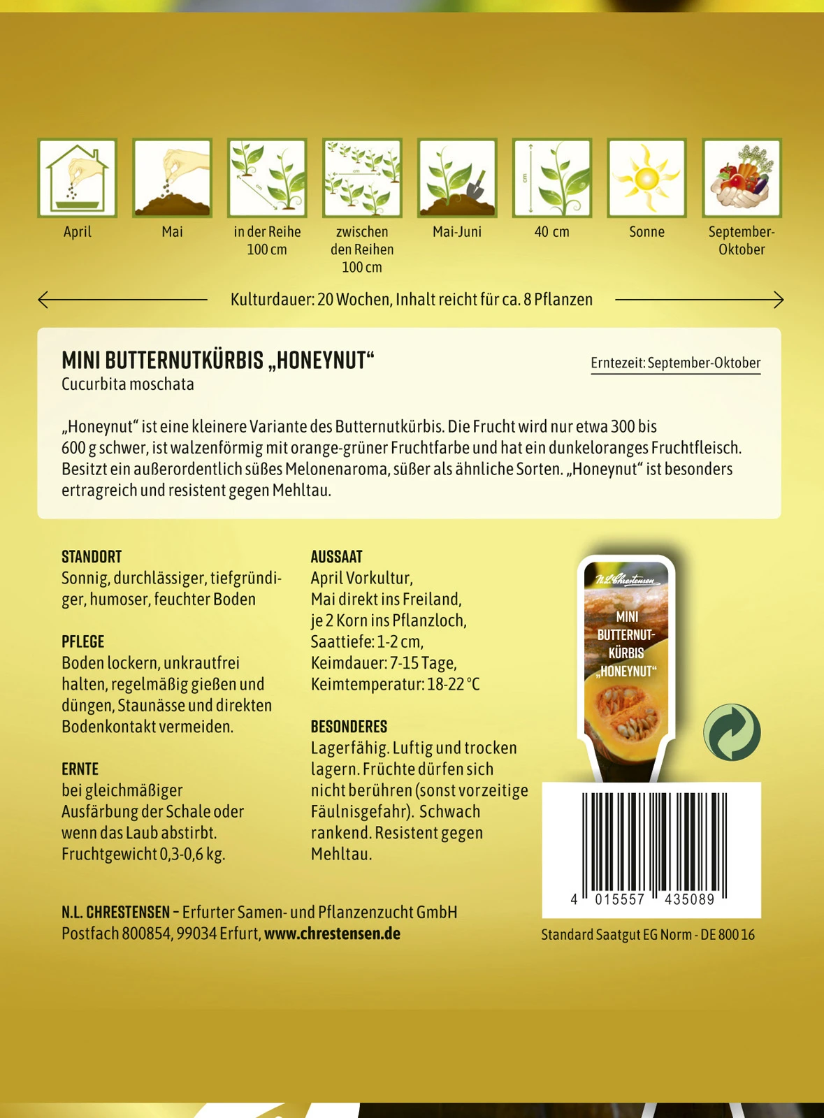 Mini Butternutkürbis Honeynut | Butternutkürbissamen Von N.L. Chrestensen 3 Mini Butternutkürbis Honeynut | Butternutkürbissamen Von N.L. Chrestensen