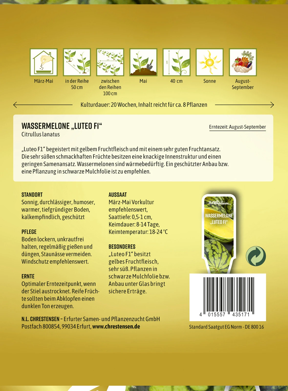 Wassermelone Luteo F1 | Wassermelonensamen Von N.L. Chrestensen 4 Wassermelone Luteo F1 | Wassermelonensamen Von N.L. Chrestensen – Bild 2