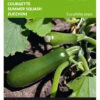 Zucchini Black Forest F1 | Zucchinisamen Von Buzzy Seeds [MHD 07/2024] -Pegasus Verkaufsgeschäft 544858 Buzzy Zucchini Black Forest F1