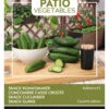 Snack Gurke Kalimero F1 | Minigurkensamen Von Buzzy Seeds -Pegasus Verkaufsgeschäft 545333 Snack gurke Kalimero F1