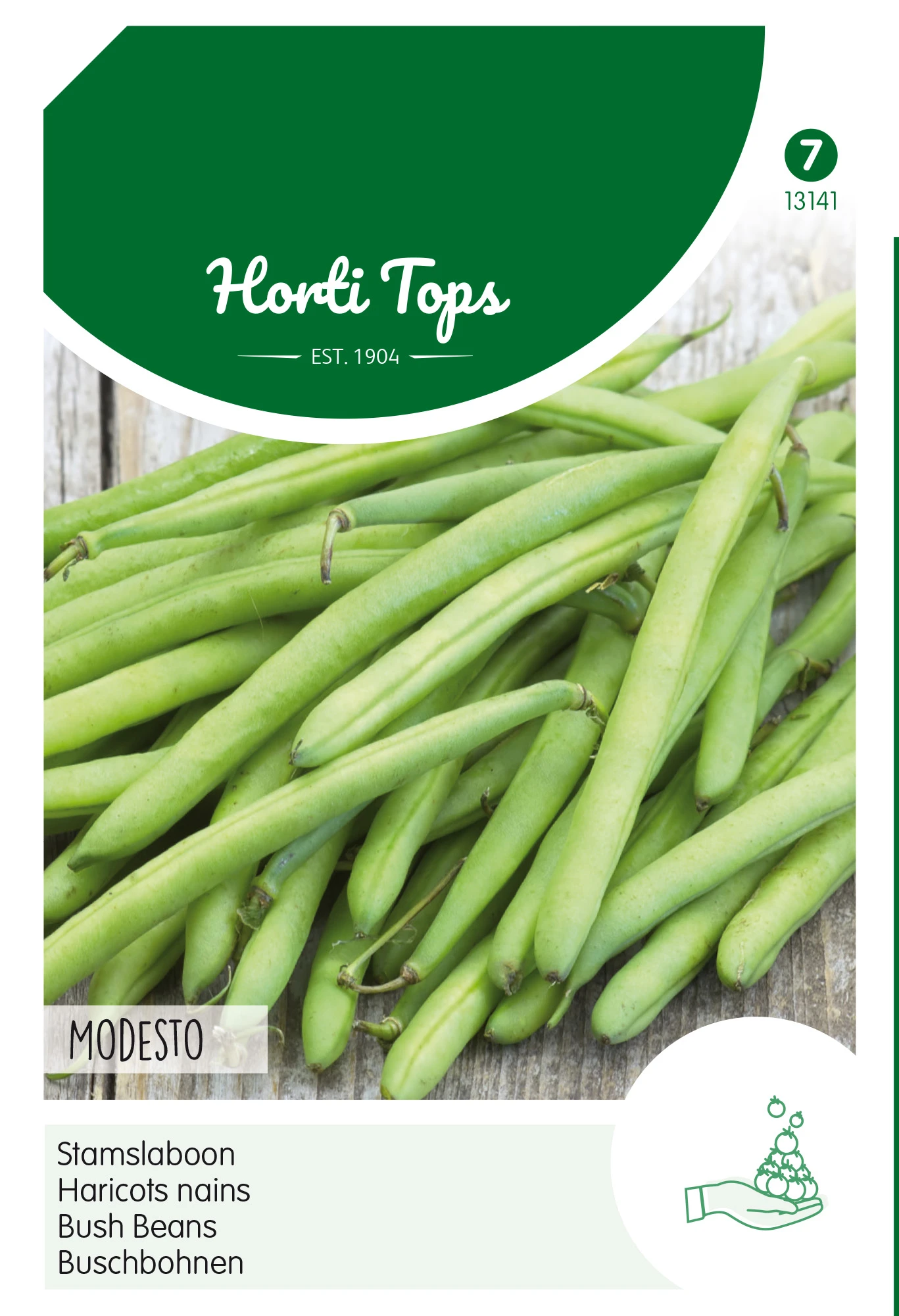 Buschbohnen Montano (100 G) | Buschbohnensamen Von Hortitops 4 Buschbohnen Montano (100 G) | Buschbohnensamen Von Hortitops – Bild 2