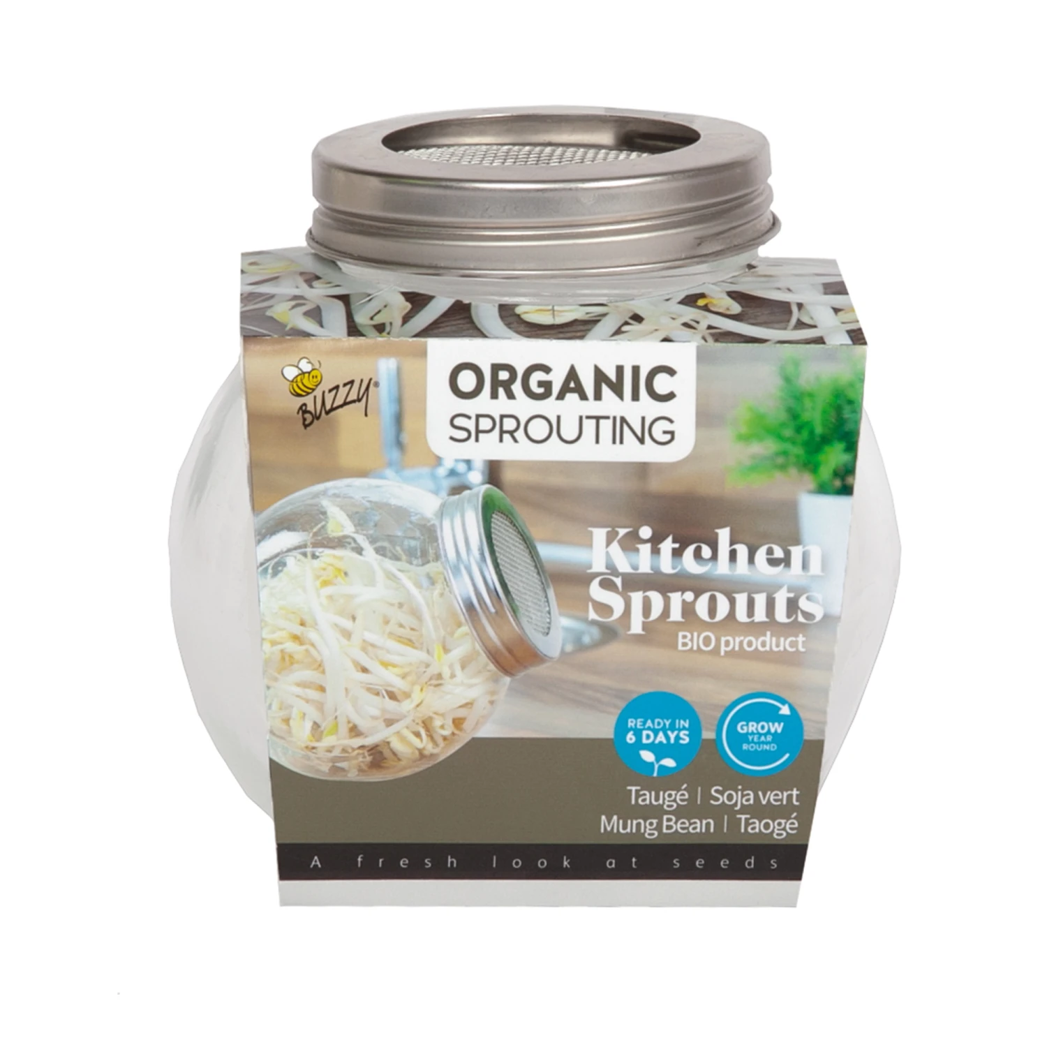 Sprossenglas Mit BIO Keimsprossen Mungbohne | Keimsprossenglas Von Buzzy Seeds 3 Sprossenglas Mit BIO Keimsprossen Mungbohne | Keimsprossenglas Von Buzzy Seeds