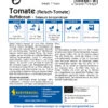 Fleisch - Tomate Buffalosun F1 | Fleischtomatensamen Von Kiepenkerl 1 Fleisch - Tomate Buffalosun F1 | Fleischtomatensamen Von Kiepenkerl -Pegasus Verkaufsgeschäft 547439 Fleisch Tomate Buffalosun F1 1