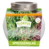 Sprossenglas (425 Ml) | Anzuchtschalen Von FLORTUS 2 Sprossenglas (425 Ml) | Anzuchtschalen Von FLORTUS -Pegasus Verkaufsgeschäft 547671 Sprossenglas 2000 0407 0