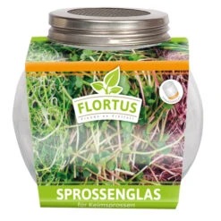 Sprossenglas (425 Ml) | Anzuchtschalen Von FLORTUS