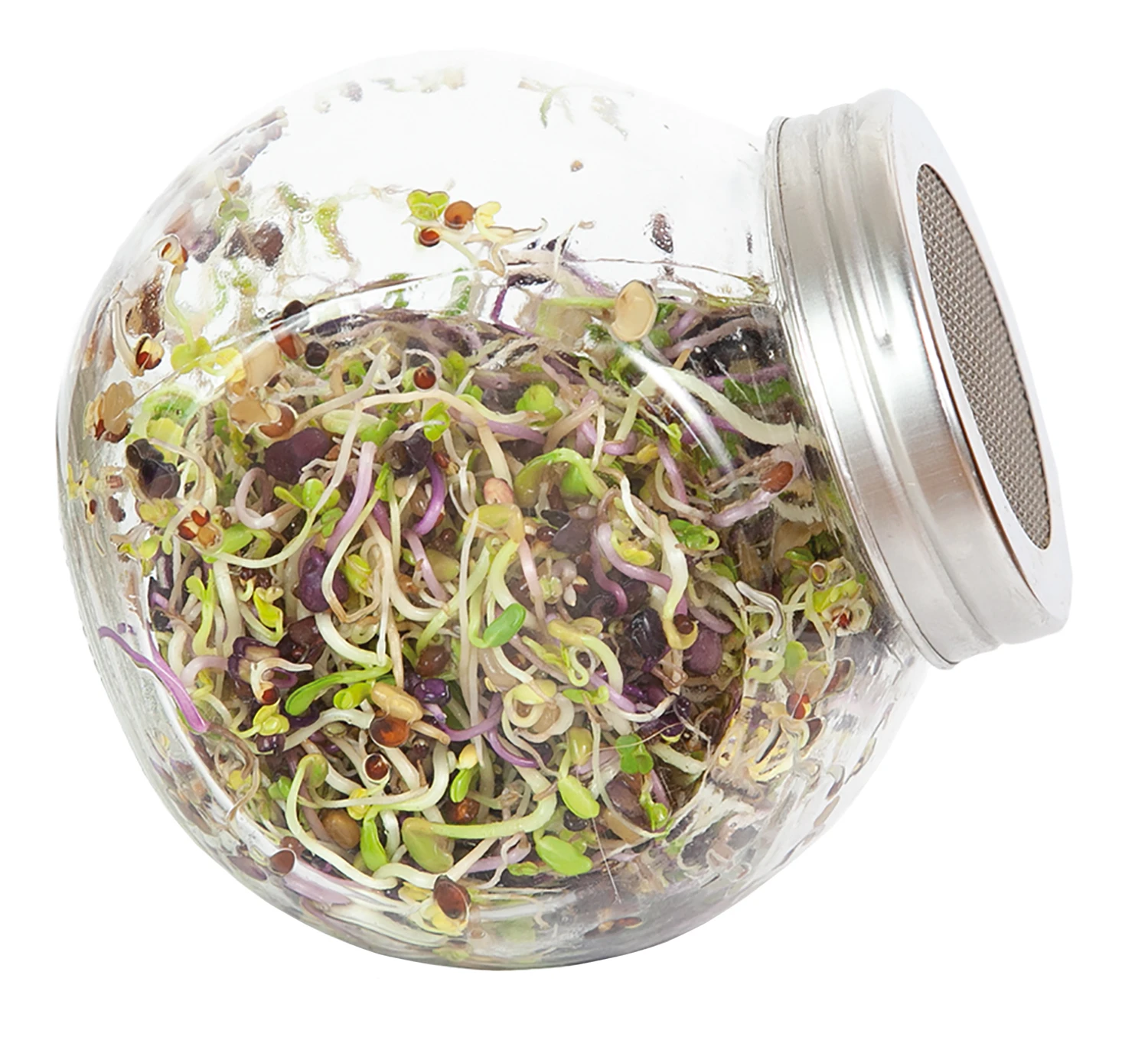 Sprossenglas (425 Ml) | Anzuchtschalen Von FLORTUS 4 Sprossenglas (425 Ml) | Anzuchtschalen Von FLORTUS – Bild 2