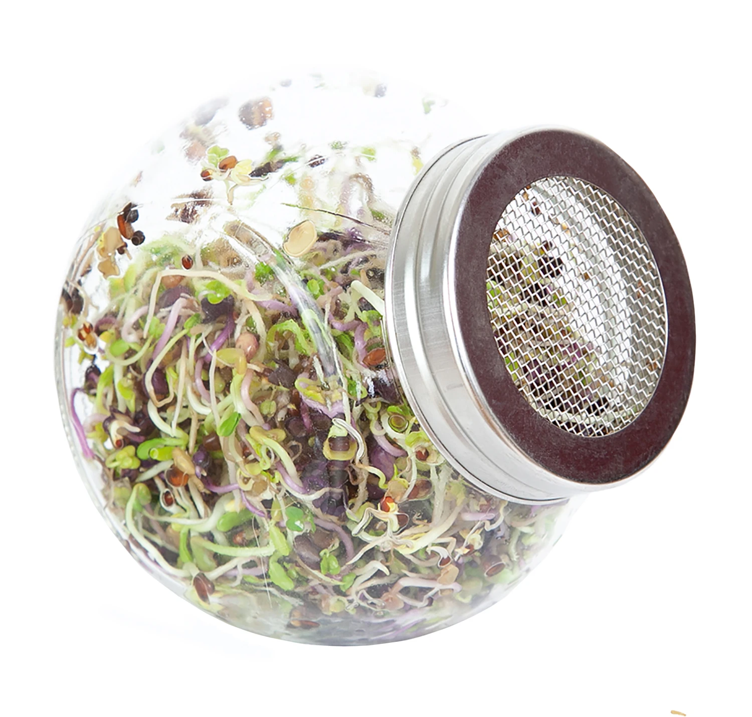 Sprossenglas (425 Ml) | Anzuchtschalen Von FLORTUS 9 Sprossenglas (425 Ml) | Anzuchtschalen Von FLORTUS – Bild 7