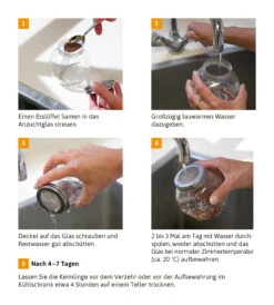 Sprossenglas (425 Ml) | Anzuchtschalen Von FLORTUS 12 Sprossenglas (425 Ml) | Anzuchtschalen Von FLORTUS -Pegasus Verkaufsgeschäft 547671 Sprossenglas 2000 0407 3