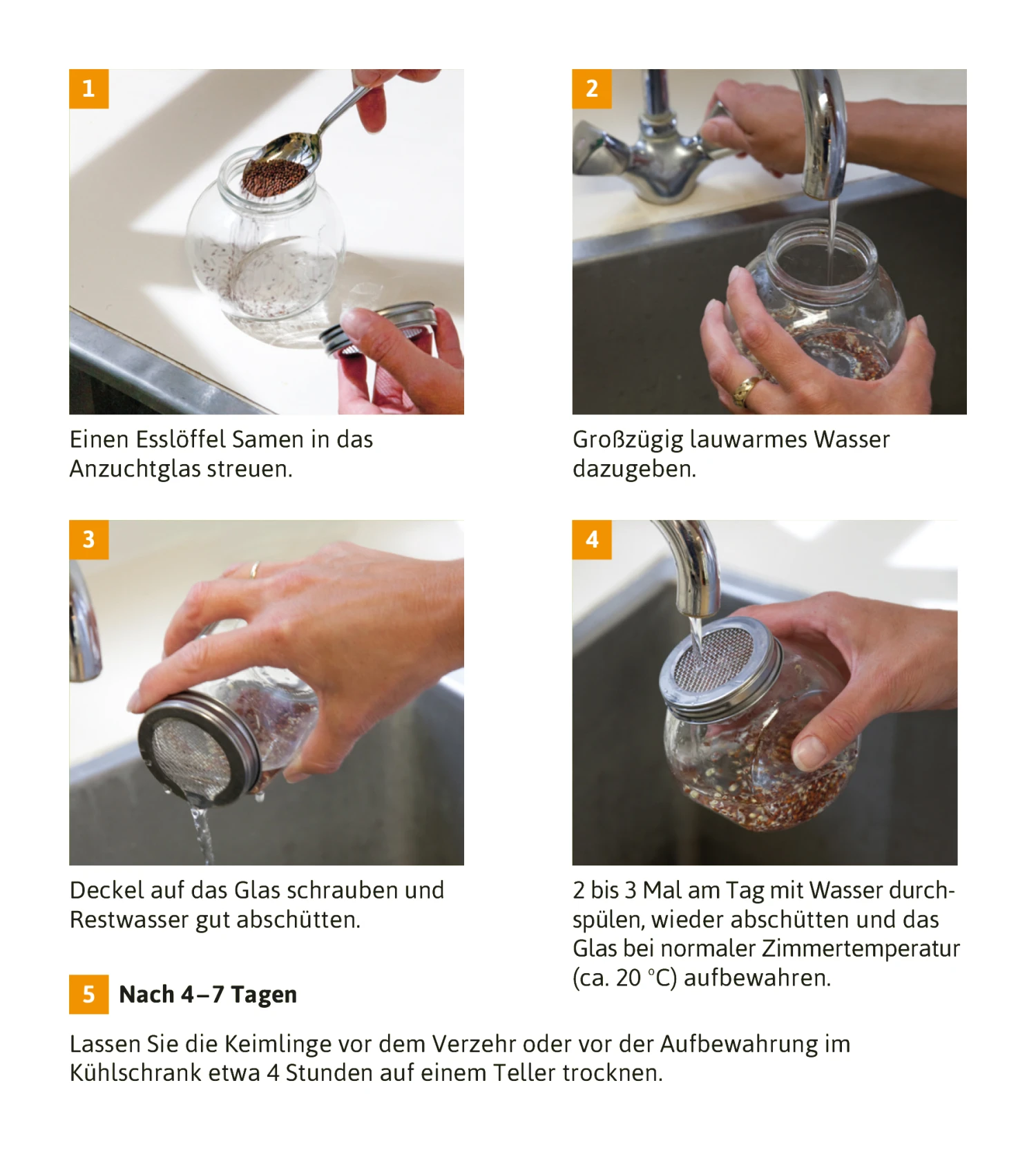 Sprossenglas (425 Ml) | Anzuchtschalen Von FLORTUS 6 Sprossenglas (425 Ml) | Anzuchtschalen Von FLORTUS – Bild 4