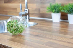 Sprossenglas (425 Ml) | Anzuchtschalen Von FLORTUS 14 Sprossenglas (425 Ml) | Anzuchtschalen Von FLORTUS -Pegasus Verkaufsgeschäft 547671 Sprossenglas 2000 0407 4