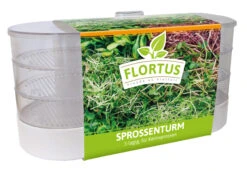 Sprossenturm | Keimgerät Von FLORTUS