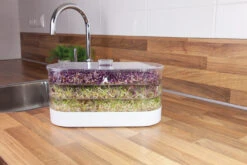 Sprossenturm | Keimgerät Von FLORTUS 17 Sprossenturm | Keimgerät Von FLORTUS -Pegasus Verkaufsgeschäft 547673 FLORTUS Sprossenturm 2000 0409 4