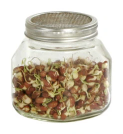 Sprossenglas (750 Ml) | Sprossengläser Von Eschenfelder