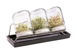 Sprossenglas-System III Anthrazit (750 Ml) | Sprossengläser Von Eschenfelder