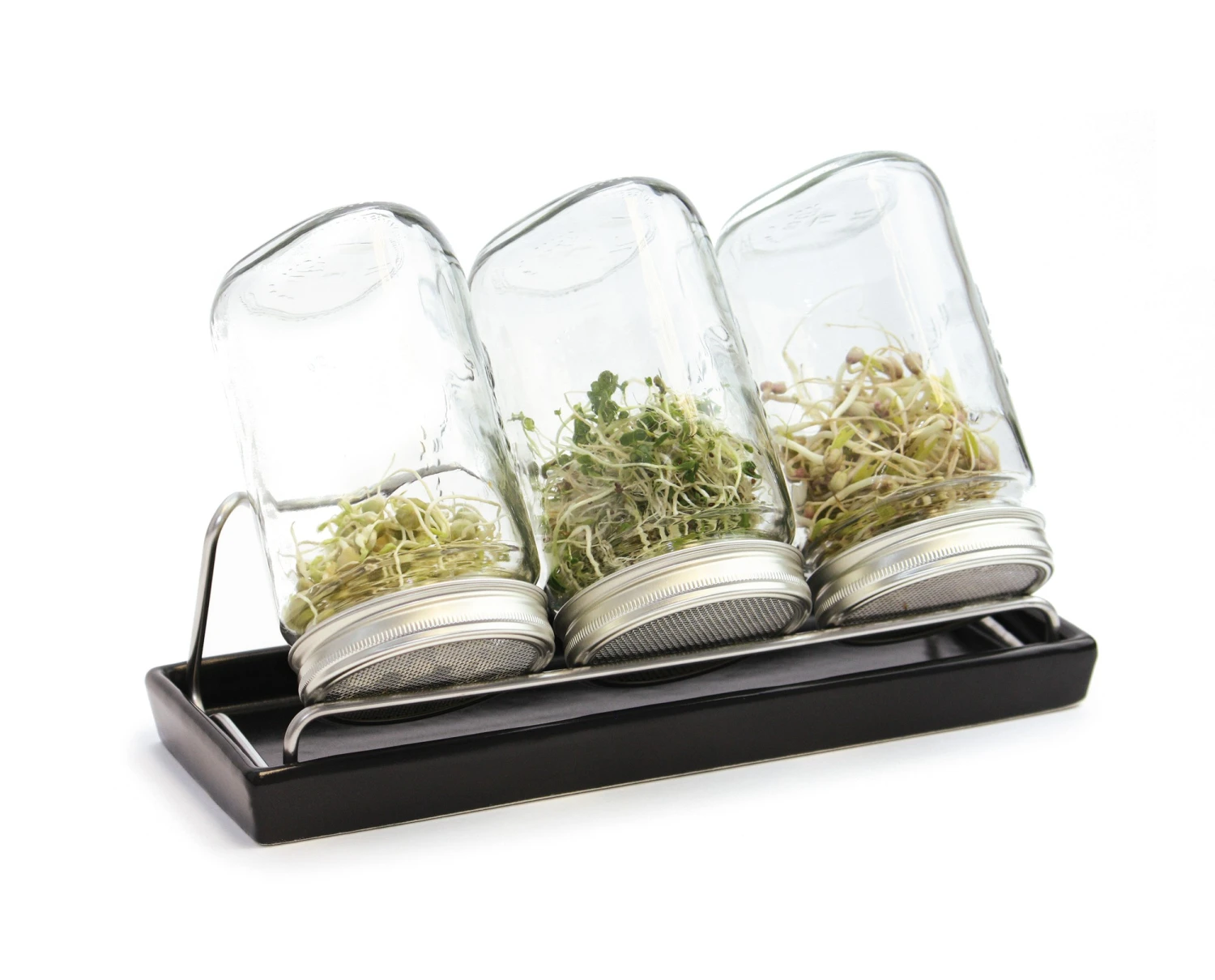 Sprossenglas-System III Anthrazit (1000 Ml) | Sprossengläser Von Eschenfelder 3 Sprossenglas-System III Anthrazit (1000 Ml) | Sprossengläser Von Eschenfelder