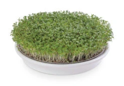 Kressesieb Weiß (21,5 Cm) | Sprossensiebe Von Eschenfelder