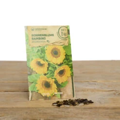 Blumen Set Bibi Balkonessa | BIO Blumensamen-Sets Von Samen Maier [MHD 12/2023] -Pegasus Verkaufsgeschäft 549604 BIO Blumen Set Bibi Balkonessa A03 sm 2