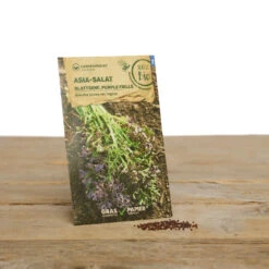 Wintergarten Set Humphrey Snowgart | BIO Gemüsesamen-Sets Von Samen Maier [MHD 12/2023] -Pegasus Verkaufsgeschäft 549606 BIO Wintergarten Set Humphrey Snowgart A05 sm 1