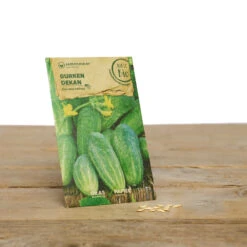 Bauerngarten Set Gitti Gartenschlau | BIO Gemüsesamen-Sets Von Samen Maier -Pegasus Verkaufsgeschäft 549608 BIO Bauerngarten Set Gitti Gartenschlau A07 sm 2