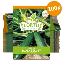 Zucchini Black Beauty (100 Stück) | Zucchinisamen Von FLORTUS -Pegasus Verkaufsgeschäft 549854 Zucchini Black Beauty 100 Stueck 2000 0471 100x 0