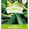 Zucchini Black Beauty (100 Stück) | Zucchinisamen Von FLORTUS -Pegasus Verkaufsgeschäft 549854 Zucchini Black Beauty 100 Stueck 2000 0471 100x 1