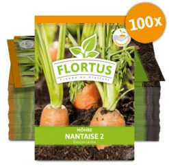Möhre Nantaise 2 (100 Stück) | Möhrensamen Von FLORTUS -Pegasus Verkaufsgeschäft 549855 Moehre Nantaise 2 100 Stueck 2000 0472 100x 0