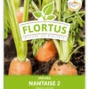 Möhre Nantaise 2 (100 Stück) | Möhrensamen Von FLORTUS -Pegasus Verkaufsgeschäft 549855 Moehre Nantaise 2 100 Stueck 2000 0472 100x 1