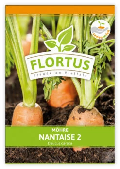 Möhre Nantaise 2 (100 Stück) | Möhrensamen Von FLORTUS
