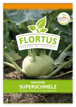 Kohlrabi Superschmelz (100 Stück) | Kohlrabisamen Von FLORTUS -Pegasus Verkaufsgeschäft 549856 Kohlrabi Superschmelz 100 Stueck 2000 0473 100x 1