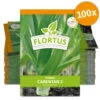Lauch-Porree Carentan 2 (100 Stück) | Lauchsamen Von FLORTUS -Pegasus Verkaufsgeschäft 549857 Lauch Porree Carentan 2 100 Stueck 2000 0474 100x 0