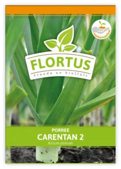 Lauch-Porree Carentan 2 (100 Stück) | Lauchsamen Von FLORTUS -Pegasus Verkaufsgeschäft 549857 Lauch Porree Carentan 2 100 Stueck 2000 0474 100x 1