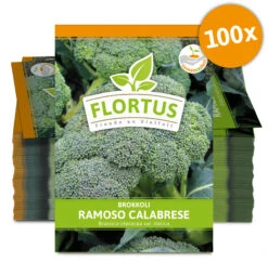 Brokkoli Ramoso Calabrese (100 Stück) | Brokkolisamen Von FLORTUS -Pegasus Verkaufsgeschäft 549858 Brokkoli Ramoso Calabrese 100 Stueck 2000 0475 100x 0