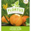 Hokkaidokürbis Uchiki Kuri (100 Stück) | Hokkaidokürbissamen Von FLORTUS -Pegasus Verkaufsgeschäft 549859 Hokkaidokuerbis Uchiki Kuri 100 Stueck 2000 0476 100x 1