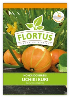 Hokkaidokürbis Uchiki Kuri (100 Stück) | Hokkaidokürbissamen Von FLORTUS