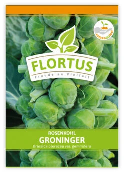 Rosenkohl Groninger (100 Stück) | Rosenkohlsamen Von FLORTUS 7 Rosenkohl Groninger (100 Stück) | Rosenkohlsamen Von FLORTUS -Pegasus Verkaufsgeschäft 549860 Rosenkohl Groninger 100 Stueck 2000 0477 100x 1