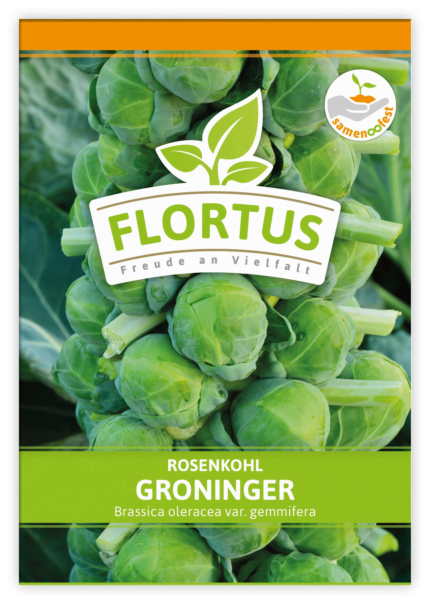 Rosenkohl Groninger (100 Stück) | Rosenkohlsamen Von FLORTUS 5 Rosenkohl Groninger (100 Stück) | Rosenkohlsamen Von FLORTUS – Bild 3