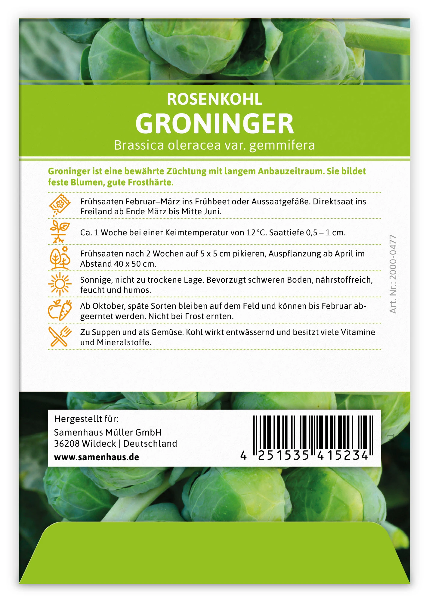Rosenkohl Groninger (100 Stück) | Rosenkohlsamen Von FLORTUS 4 Rosenkohl Groninger (100 Stück) | Rosenkohlsamen Von FLORTUS – Bild 2